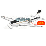 Airplane Design (Black/Gold) - AIR2552FEG36-BG2