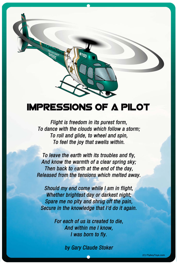 Impressions Airplane Metal Sign - SIGN-IMPRESSIONS