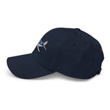 Flyboy Toys Airplane Embroidered Custom Classic Cap (AIR255452-BR1) - Add your N#