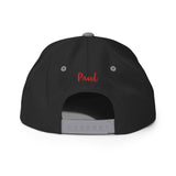 Airplane Embroidered Custom Classic Snapback (AIR255B9E90-BG3) - Add your N#