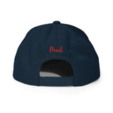 Airplane Embroidered Custom Classic Snapback (AIR255B9E90-BG3) - Add your N#