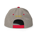 Swift GC-1B Airplane Embroidered Snapback Hat