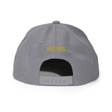 Swift GC-1B Airplane Embroidered Snapback Hat