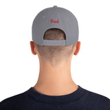 Airplane Embroidered Custom Classic Snapback (AIR255B9E90-BG3) - Add your N#