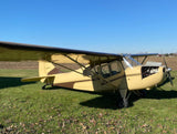 Airplane Design (AIRJ5I381-CB3) - Cream/Brown