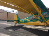 Airplane Design (Yellow/Green) - AIR25C39K7KC-YG1