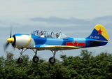 Airplane Design (Blue/Yellow) - AIRP1BP1B52-BY1