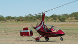 Airplane Design (Red/Black) - AIR1LK31C912-RB1