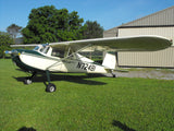 Airplane Design (Cream/Green) - AIR35JJ140-CG1