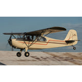 Airplane Design (Cream/Red) - AIRJ5I381-CR1