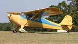 Airplane Design (Yellow/Blue) - AIRJ5I389-YB1