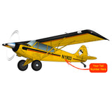 Aviat Husky A1B
