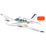 Beechcraft Baron 95-55 Blue Gold 2