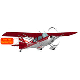 Bellanca Citabria