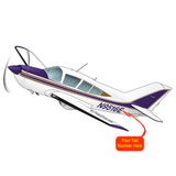 Airplane Design (Violet/Beige) - AIR25CKLIJLG-VB1