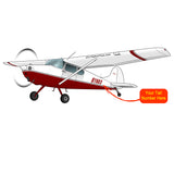 Cessna 170