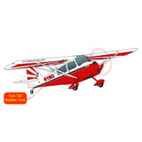 Super Decathlon 8KCAB