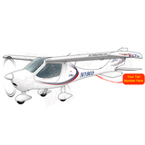 Flight Design CTSW