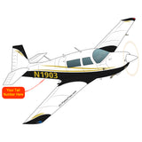 Airplane Design (Black/Gold) - AIRDFFM20J-BLK1