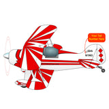 Aviat Pitts Special