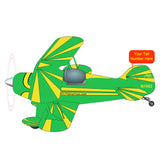 Aviat Pitts Special
