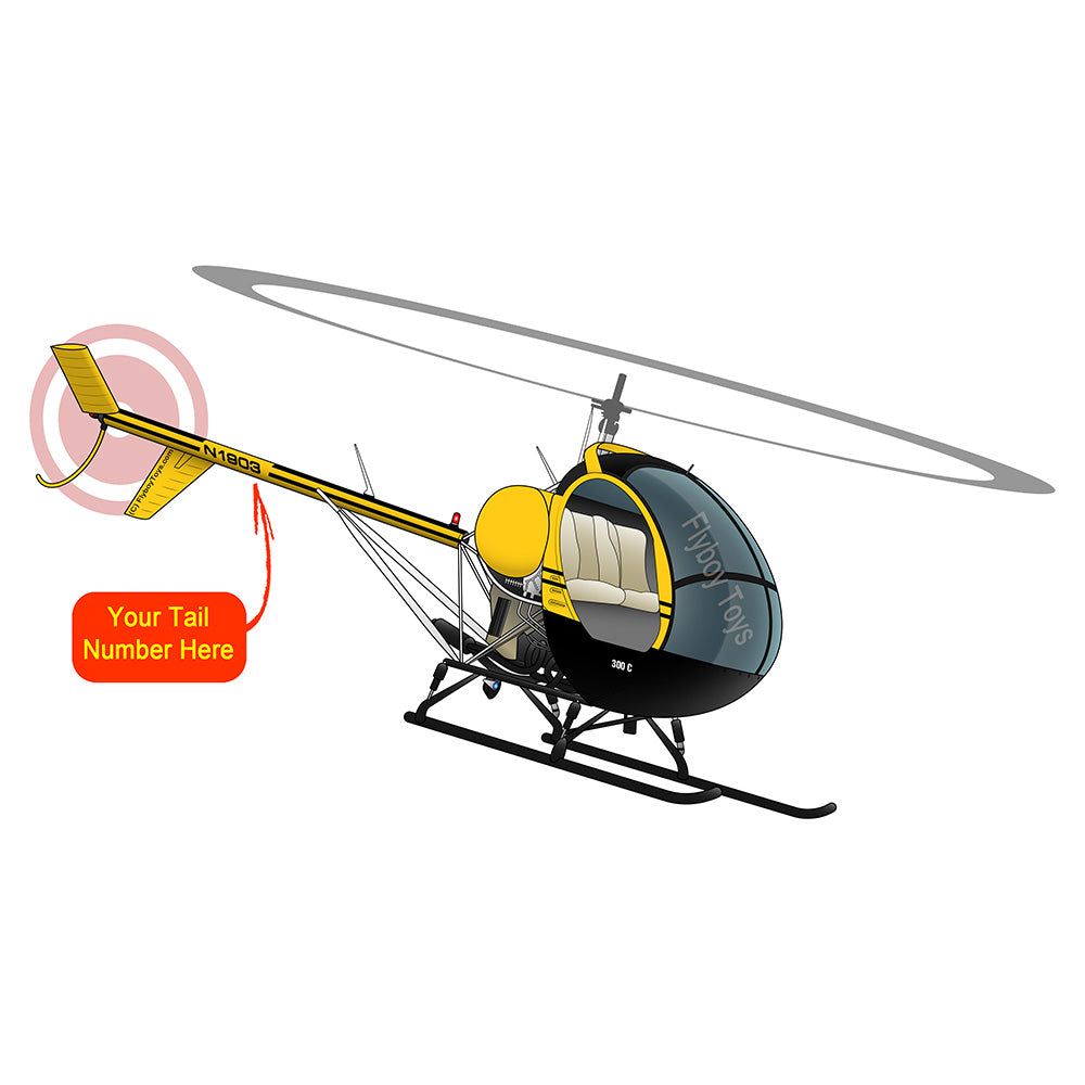 Hughes Schweizer 300 CBI