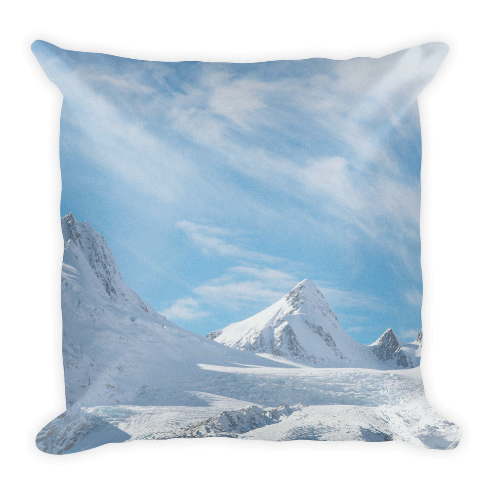 Custom Throw Pillow