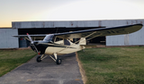 Airplane Design (Cream/Black) - AIRJ5I381-CB1