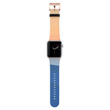 Custom Airplane Apple Watch Straps