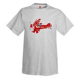 Aviat Pitts Special
