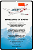 Impressions Airplane Metal Sign - SIGN-IMPRESSIONS