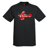 Aviat Pitts Special