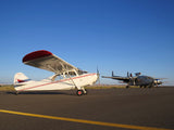 Airplane Design (Cream/Red) - AIRJ5I381-CR2
