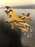 Airplane Design - AIRM1EIM7-YB2