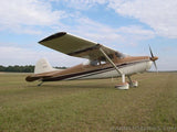 Airplane Design (Gold/Brown) - AIR35JJ170-GB1