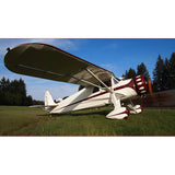 Airplane Design (Maroon) - AIR61938324-M1
