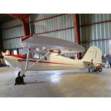 Airplane Design (Red) - AIRJ5I389-R1