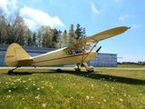 Airplane Design (Cream/Red) - AIRG9GG13-CR2