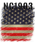 Subdued American Flag Airplane Theme