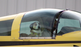 Airplane Design (Yellow/Black) - AIR7ILKI1AA1-YB1