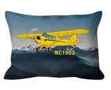 Custom Outdoor Pillows