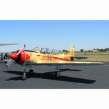 Airplane Design  (Brown/Cream) - AIRP1BP1B52-BC1
