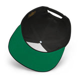 Airplane Embroidered Flat Bill Cap (AIR2552FEV35A-BR2) - Add your N#