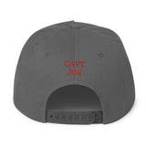 Airplane Embroidered Flat Bill Cap (AIR2552FEV35A-BR2) - Add your N#