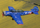 Airplane Design (Blue/Red) - AIRP1BP1B52-BR1