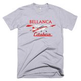 Bellanca Citabria 7KCAB (Red) Airplane T-shirt- Personalized with N#