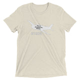 Custom Tri-Blend Bella + Canvas 3413 T-Shirt