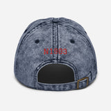 Bellanca Super Viking Airplane Embroidered Vintage Hat  - Add your N#