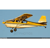 N5059N Bellanca Citabria Aircraft