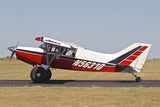 Airplane Design (AIRD1LM5235C-RB1) - Red/Black